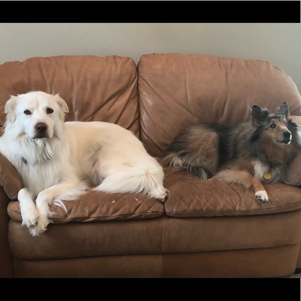 Meet your Posher, Jane